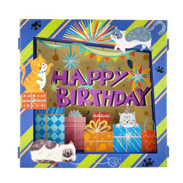 Happy Birthday Cat Greeting Card